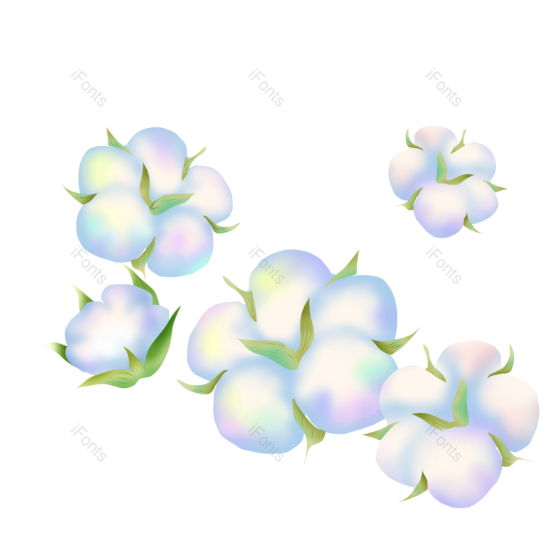 花朵图片,花朵素材元素,PNG,免抠素材